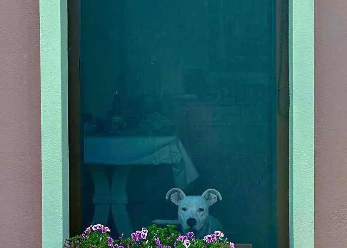 Il Melograno Di Nora